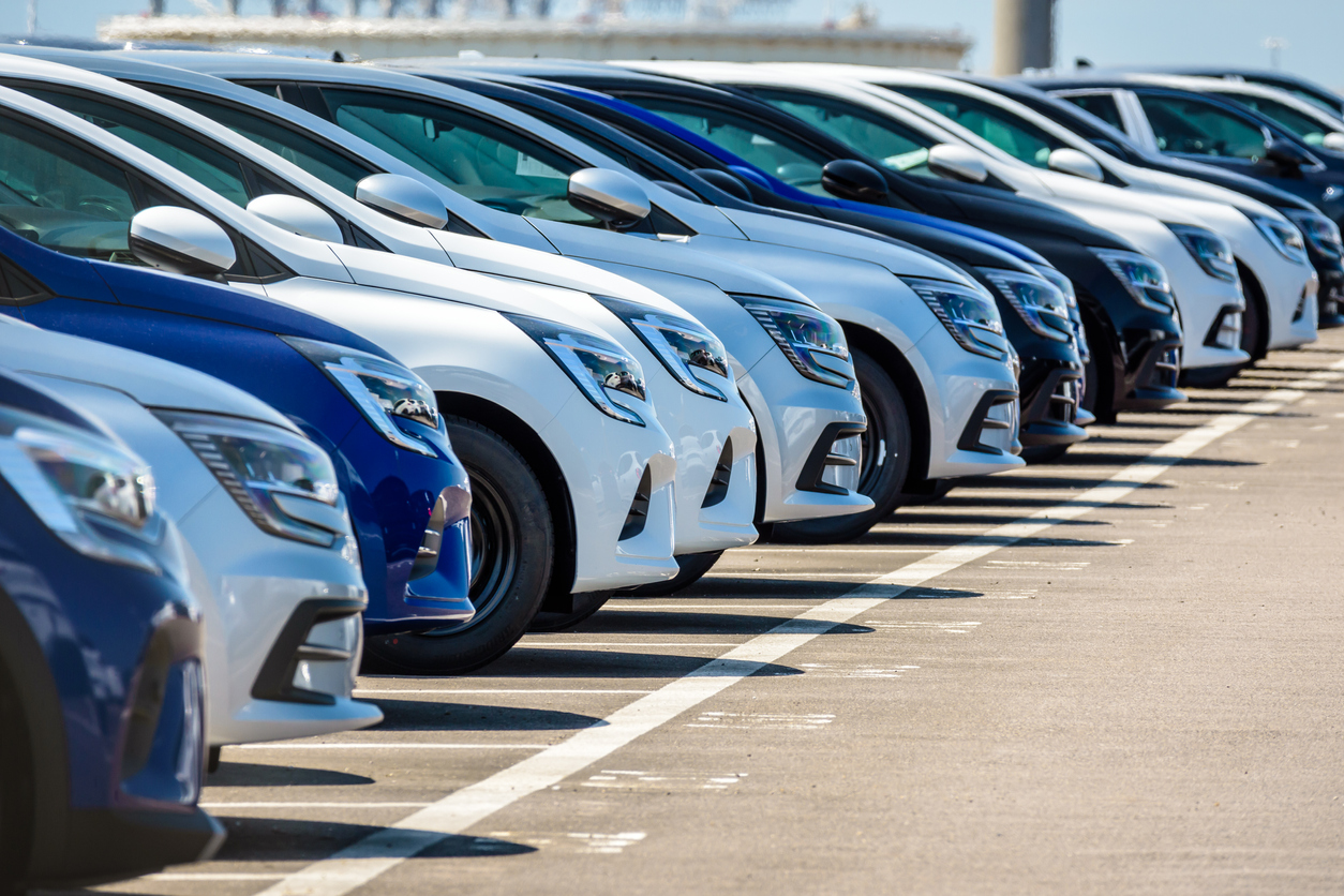 A line of vehicles ready for customs clearance